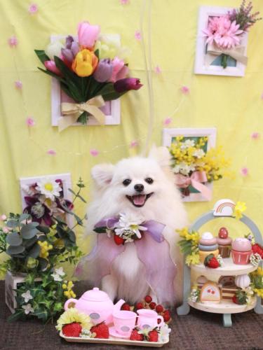 20230326オトくん